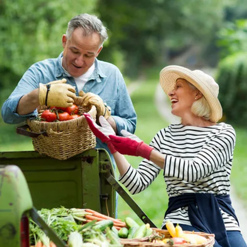 LP-Circle-Insert-Large-cardiovascular-Afib-couple-with-tomatoes